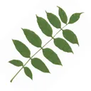 App icon for Redland Green Trail